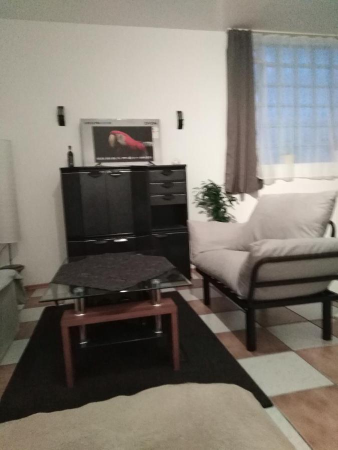 Studiowohnung, Neu Renoviert, Zentrale Lage Saarlouis Ngoại thất bức ảnh