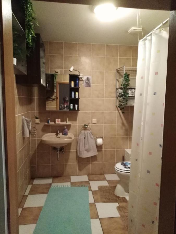 Studiowohnung, Neu Renoviert, Zentrale Lage Saarlouis Ngoại thất bức ảnh